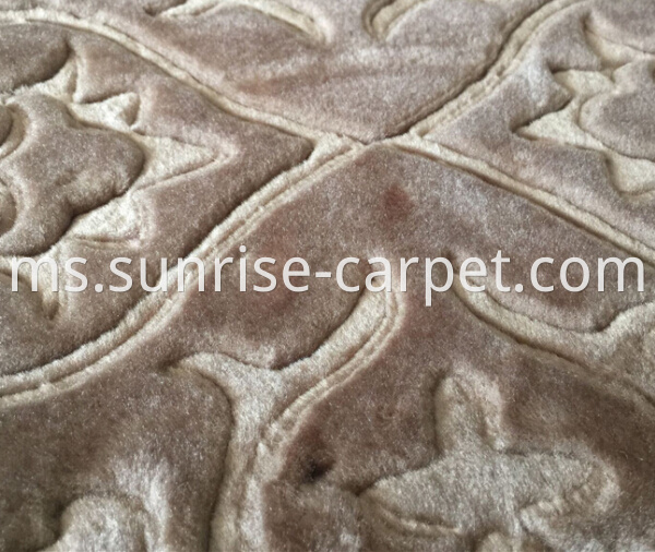 macro figure of embossing rug